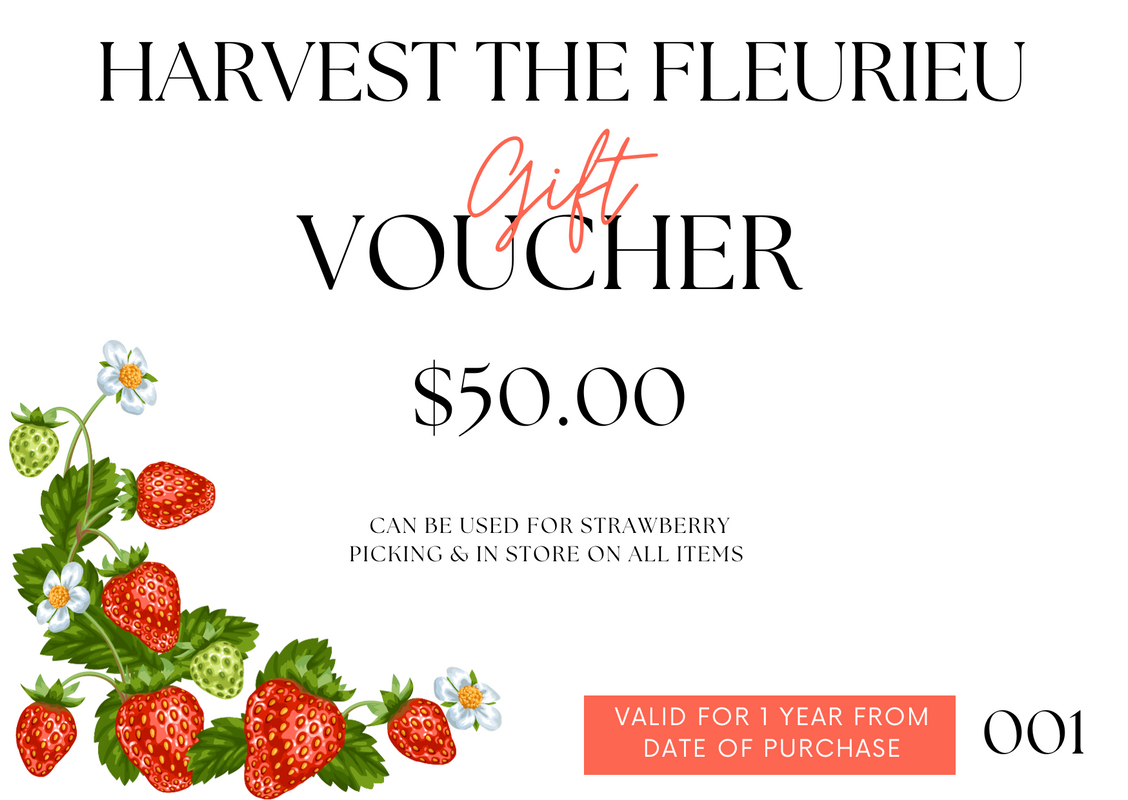 HTF Gift Voucher